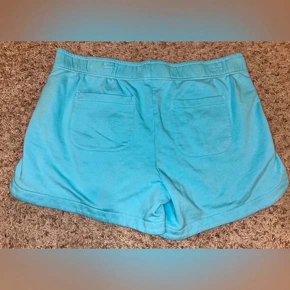 Women's Lily Pulitzer Aqua Blue Casual Shorts Size XL - Picture 5 of 5